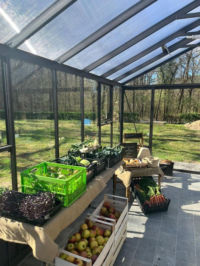 Agriturismo Biomatto 아로나 외부 사진