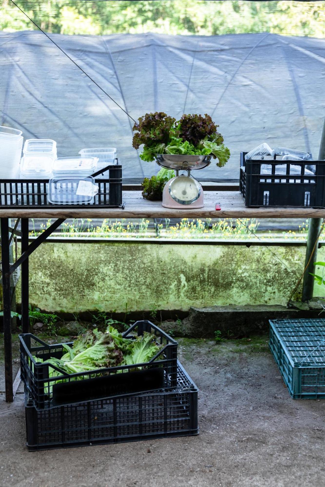 Agriturismo Biomatto 아로나 외부 사진