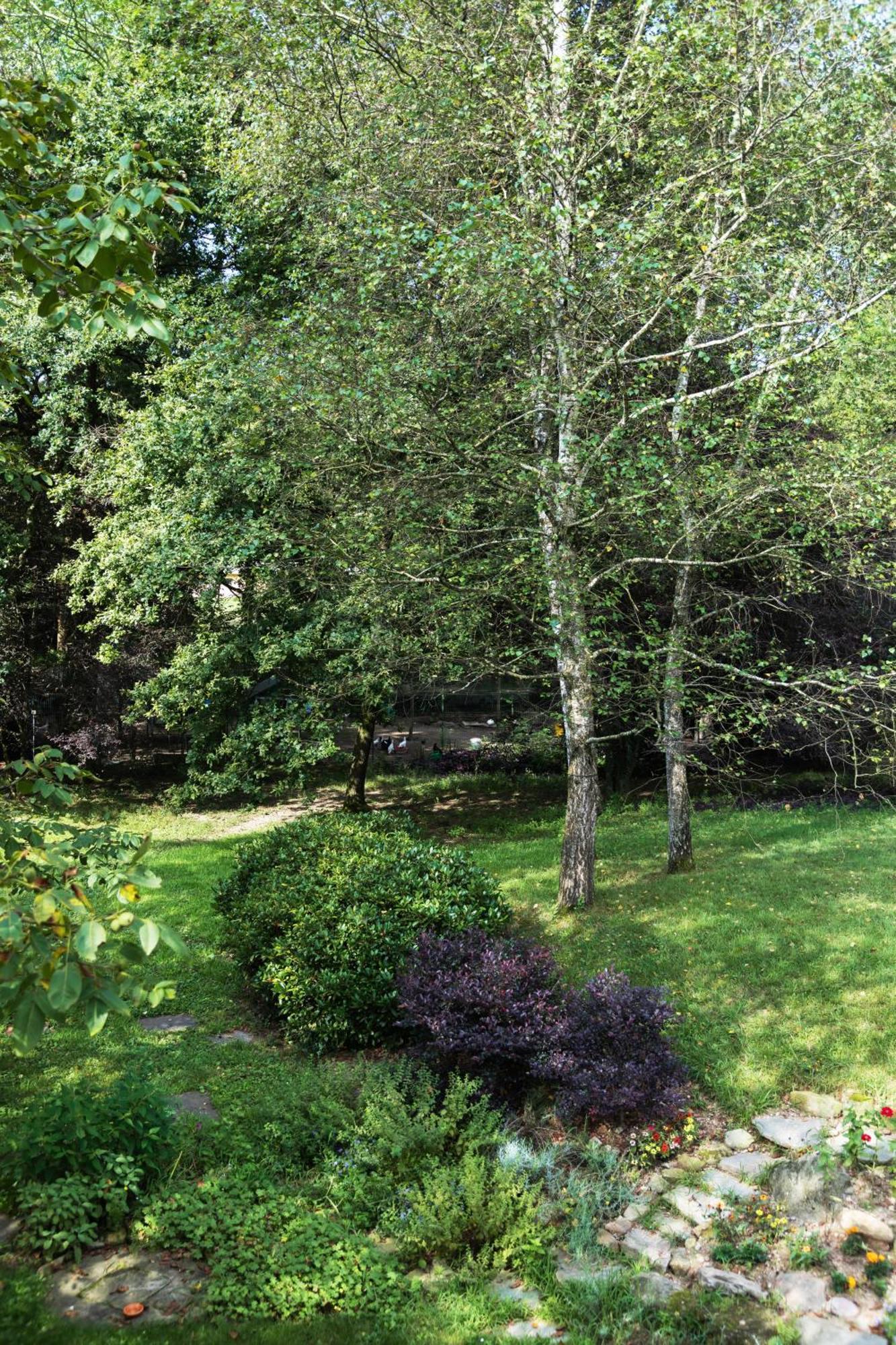 Agriturismo Biomatto 아로나 외부 사진
